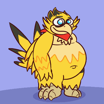 Chonk bird